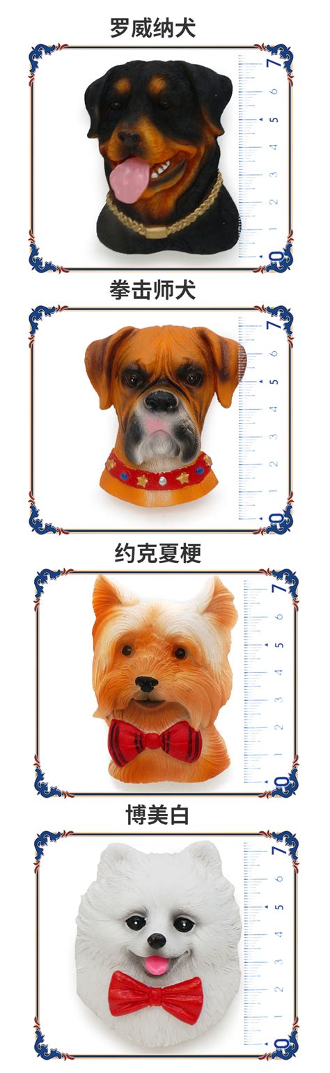 带什么礼物给狗狗最新素材