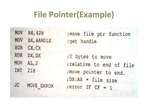 Assembly Tutorial 的图像结果