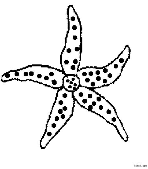 【海洋生物简笔画】海洋生物的画法_太平洋亲子网