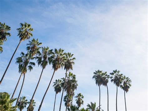 Harbor Park Golf Course | Discover Los Angeles