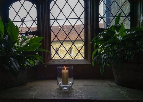 Image result for Paned Window Grid Layout Example