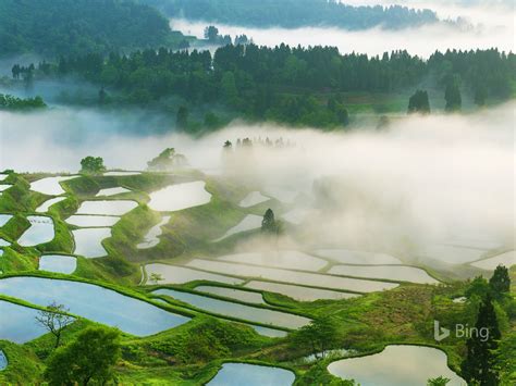 Bing Wallpaper Japan 的图像结果