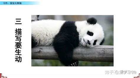 大熊猫的作文-大熊猫的作文,大熊猫,作文 - 早旭阅读