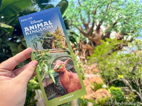 NEWS: Reservations DELAYED for Disney's NEW Pirate Lounge at Magic ...