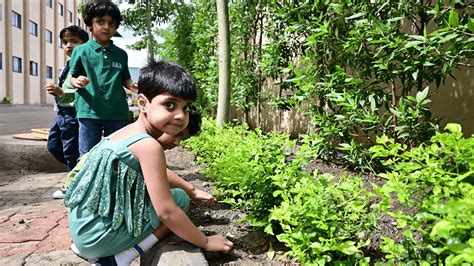 How Gardening Can Help Kids Develop Teamwork Skills