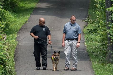How did cadaver dogs detect Bucks County bodies 12 feet underground?