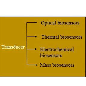 Image result for How Does a Biosensor Work
