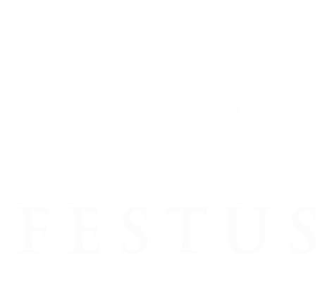 Wedding Photographer Chennai | Festus Studios