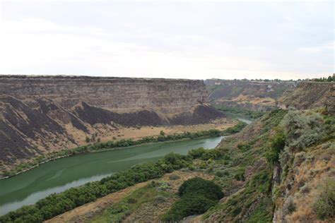 Idaho agriculture department plans second quagga mussel treatment in Snake River in November ...