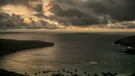 Image result for Java Native