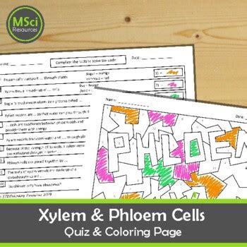 MSci Resources Teaching Resources | Teachers Pay Teachers