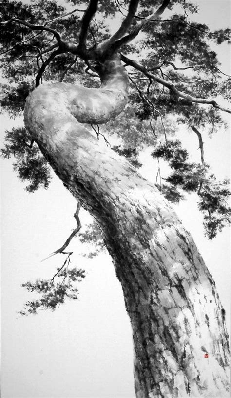 Tree Drawing Shading 的图像结果