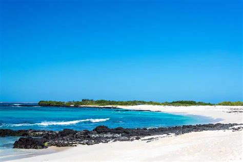 Wildlife places to visit in Galapagos Islands | Femina.in
