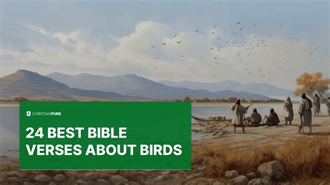24 best bible verses about birds | Christian Pure