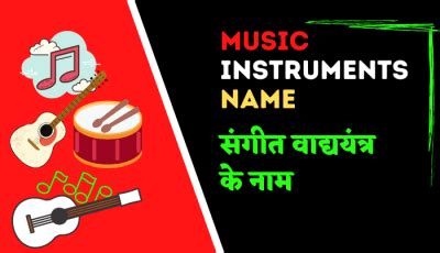 Musical Instruments Name List (संगीत वाद्ययंत्र के नाम) With Picture