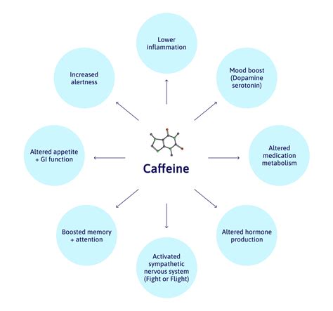 Truth About Alcohol, Caffeine, & Concussion Recovery | Cognitive FX