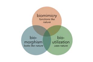 What is Biomimetic Design in Architecture & Its 12 Best Application