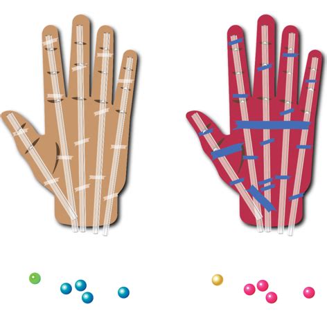 Wind Hand Science Project 的图像结果