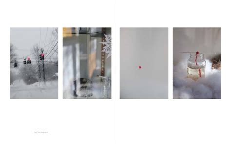 Sandi Haber Fifield - Kehrer Verlag