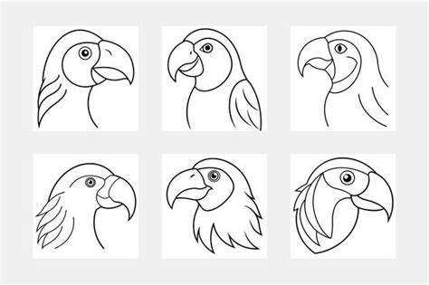 Image result for Parrot Simple Line Drawing Front Veiw