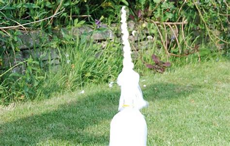 Image result for Geyser Science