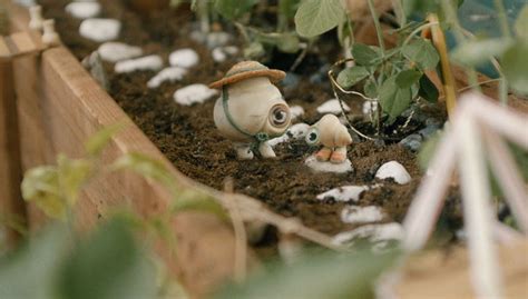 Image result for Shell Animation