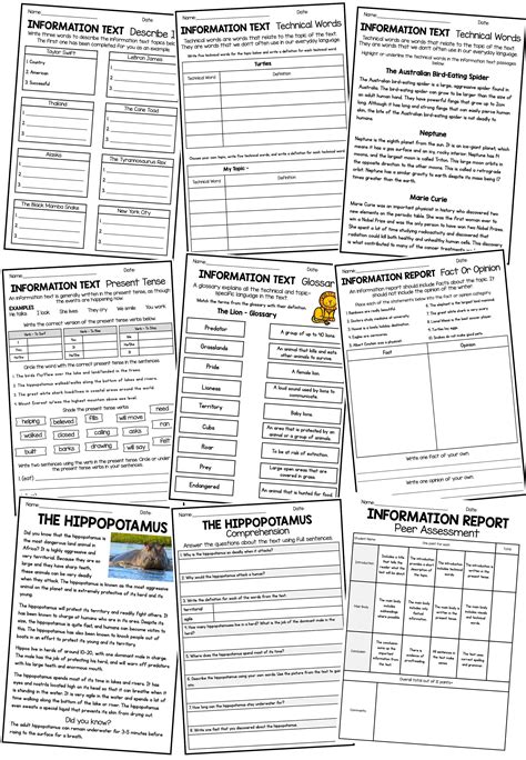 Information Text Worksheet 的图像结果