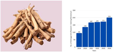 Press Release:Press Information Bureau