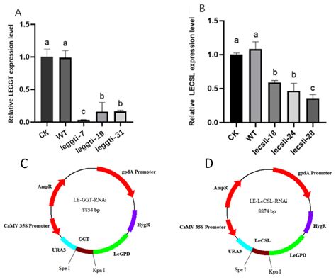 Citric Acid Induces the Increase in Lenthionine Content in Shiitake ...