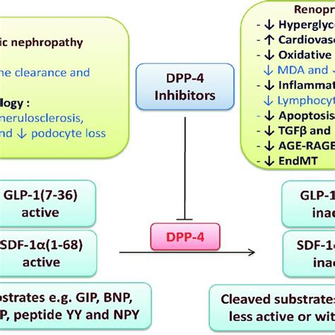 Image result for Tutorial How to Use DPP-4