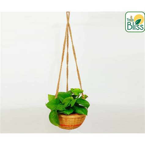 Products – trellisblissindia