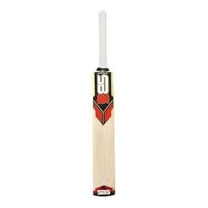 SBG Kashmir Willow Cricket Bat, Leather Bat Full Size with Lightweight ...