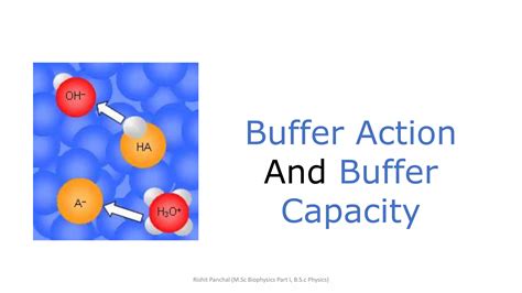 Buffer action and buffer capacity | PPTX