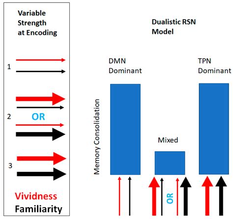 Imagery-Mediated Verbal Learning Depends on Vividness–Familiarity ...