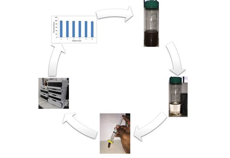 Enhanced Adsorptive Removal of β-Estradiol from Aqueous and Wastewater ...
