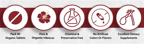 Buy Just Jaivik 100% Organic & Pure Hibiscus (Rosa Sabdariffa) Tablets ...