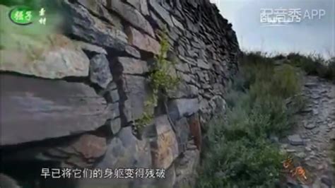 中国“教父”级纪录片《望长城》为何评价这么高？——纪录片声画合一的重要性解析（1 ...-纪录片下载