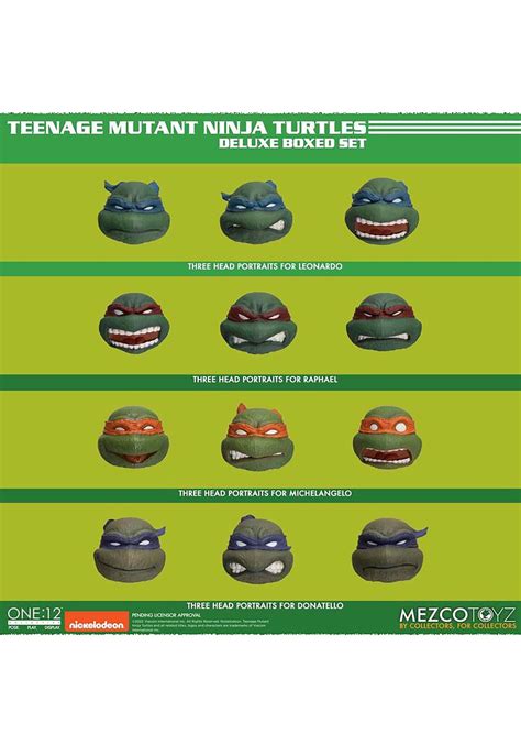 Image result for TMNT Boxed Collection