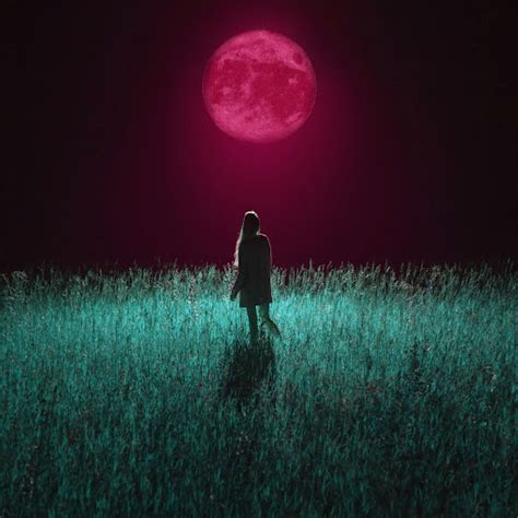 Wolves Remix 的图像结果