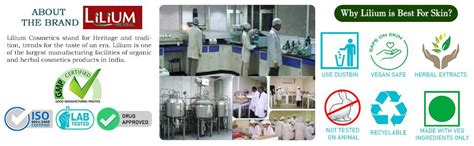 Lilium Herbal Fruit Face Wash; 500 ml : Amazon.in: Beauty