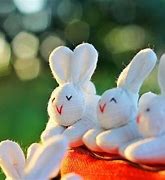 Image result for Brown and Grey Stuffed Bunny