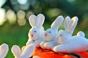Image result for Old Stuffed Bunny