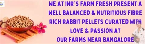 Buy INR's Farm Fresh Premium Pellets Food for Rabbits (1kg) | Advanced ...