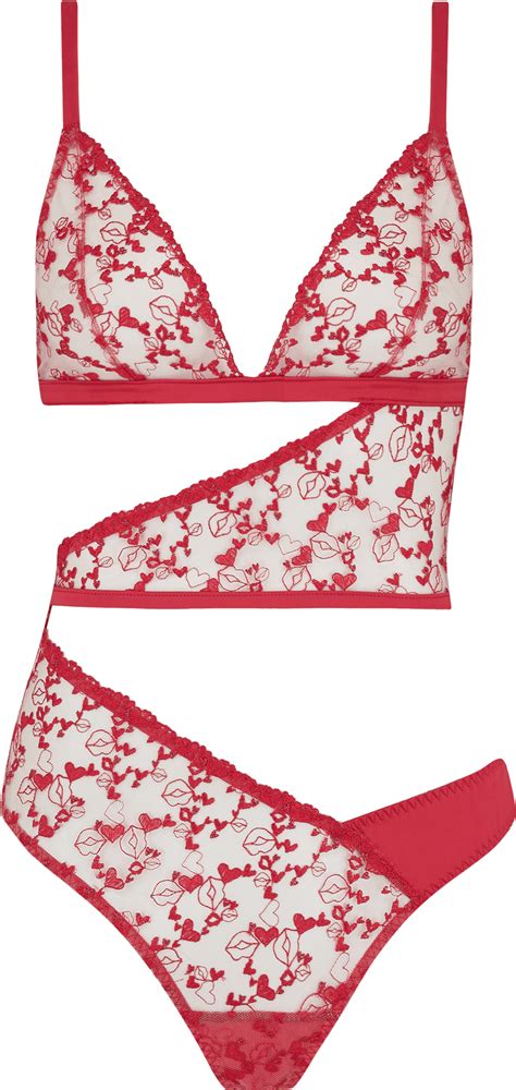 Lingerie Png Images (100++)