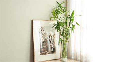 Office Vastu - 10 Best Vastu Showpiece for Office Decor