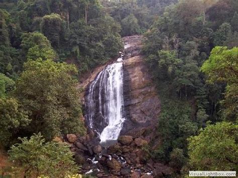 Thekkady travels, Thekkady tours, Periyar travels, Periyar tours ...