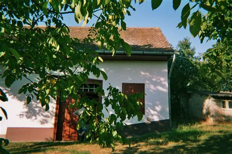 Weinberg in Boly Ungarn in Altdorf | Immobilien | Kleinanzeigen