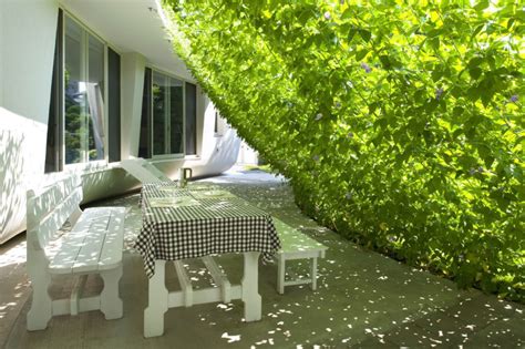 Greenscreen Architecture 的图像结果