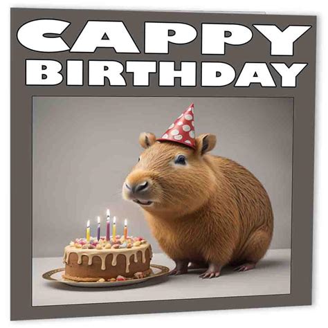 Capybara Birthday Card Cappy Birthday | Desertcart INDIA