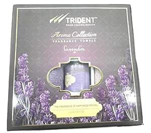 Trident Classic Aroma Fragrance Solid 2 Pieces Bath Towels Set (Bath ...